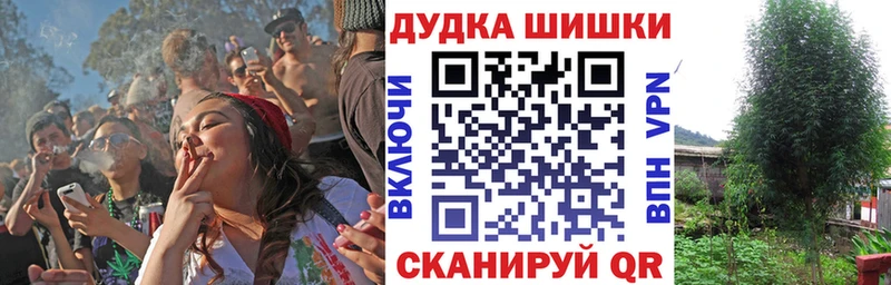 Виды наркотиков купить Берёзовский Конопля МЕФ COCAIN APVP ГАШИШ