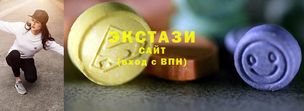 дмт Богородицк
