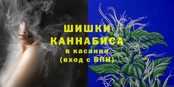 spice Беломорск