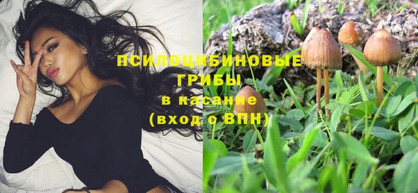 героин Белокуриха