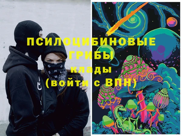 дмт Богородицк