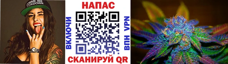 Бошки Шишки семена  продажа наркотиков  Берёзовский 